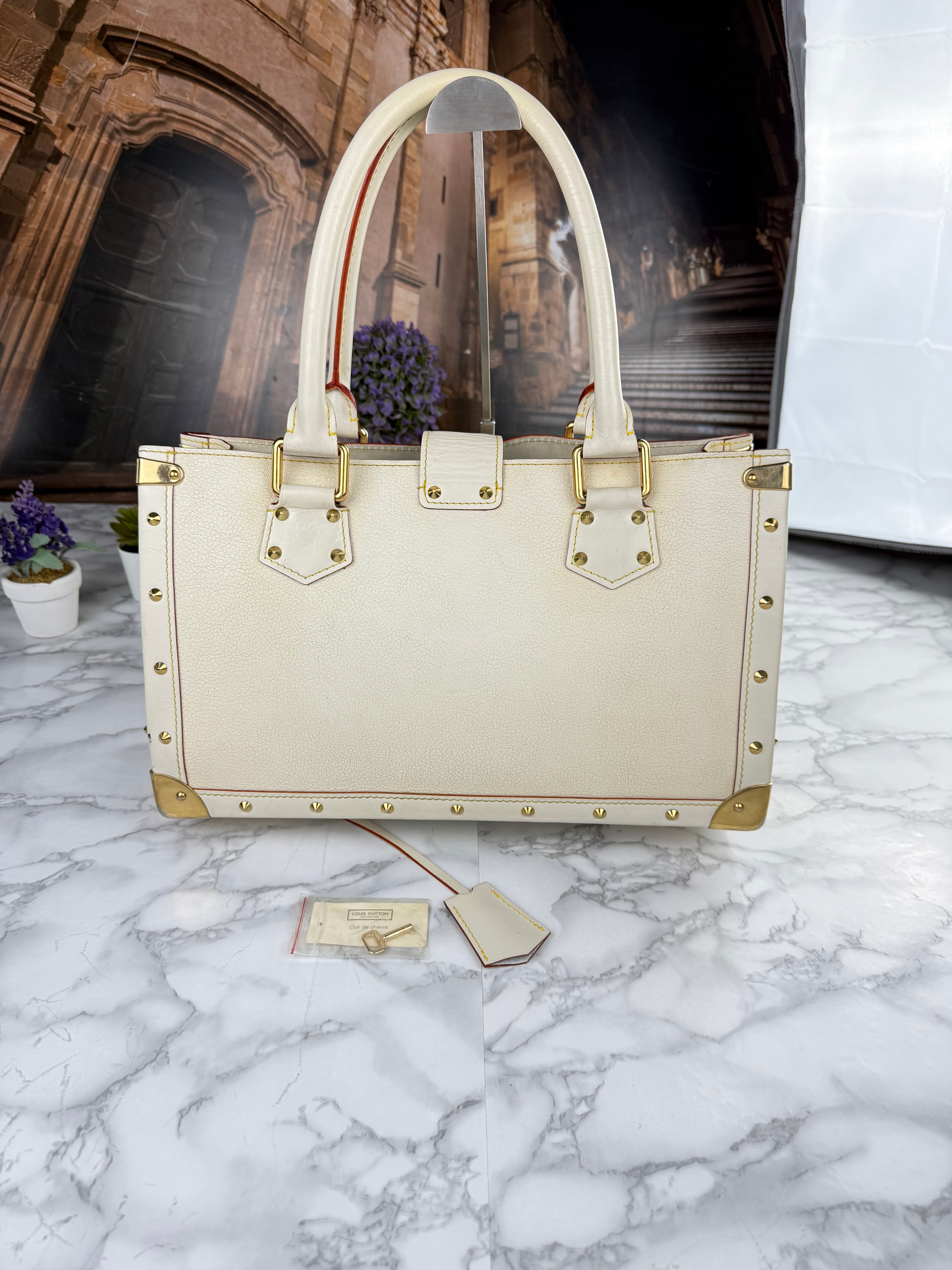 Louis Vuitton authentic bag ✅